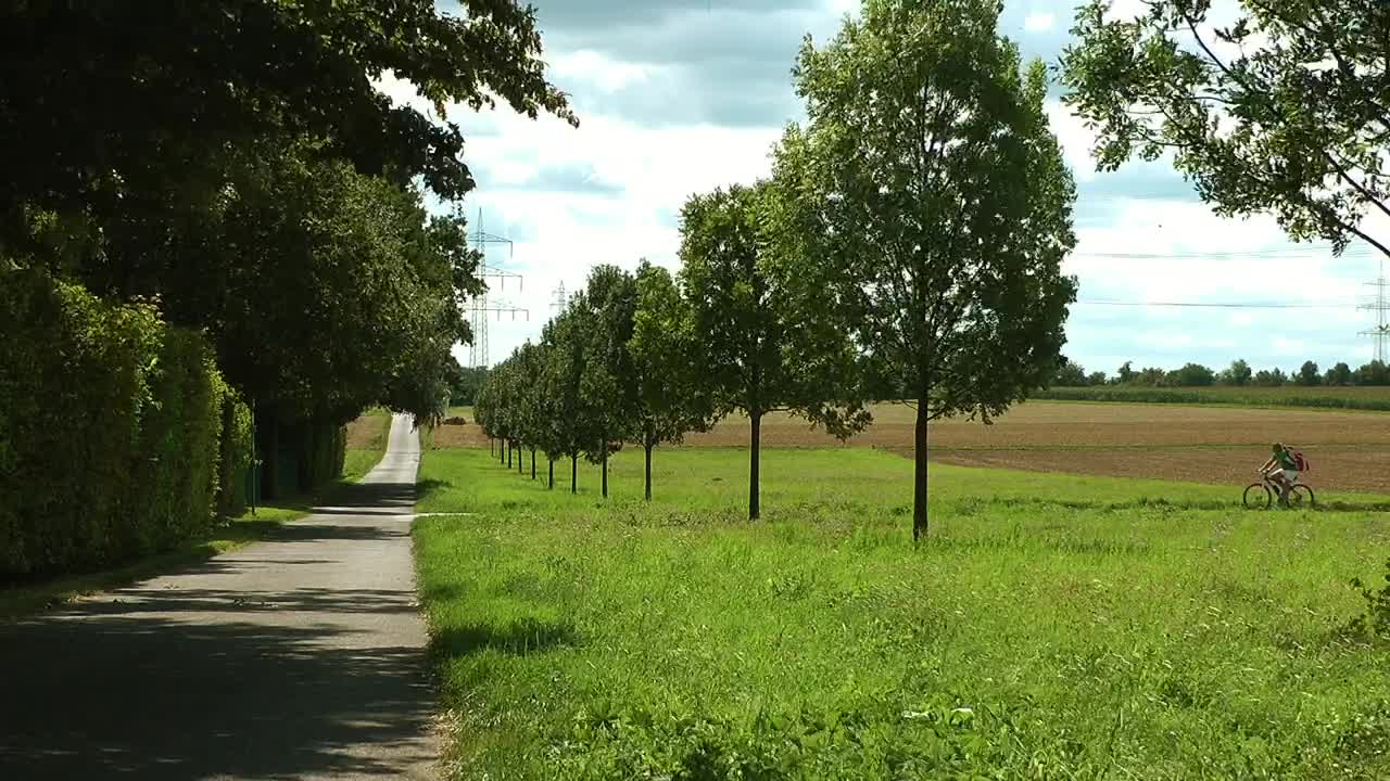 Free Stock Video Riding A Bicycle In The Countryside Live Wallpaper