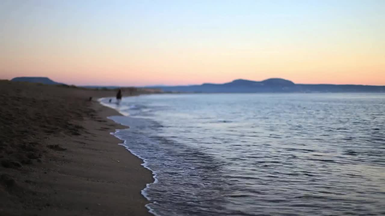 Free Stock Video Riding A Horse On The Beach Shore Live Wallpaper