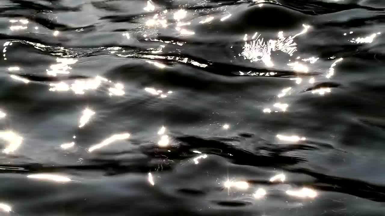 Free Stock Video Ripples Across A Pool Live Wallpaper