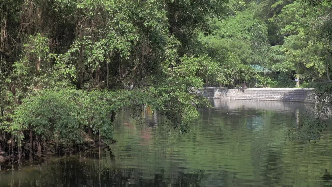 Free Stock Video River Boat Tour In Hanoi Live Wallpaper