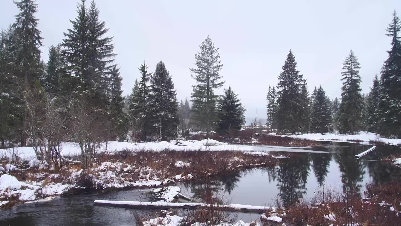 Free Stock Video River Flowing During A Cloudy Day In Canada Live Wallpaper