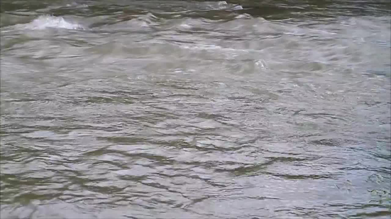 Free Stock Video River Flowing In Summer Live Wallpaper