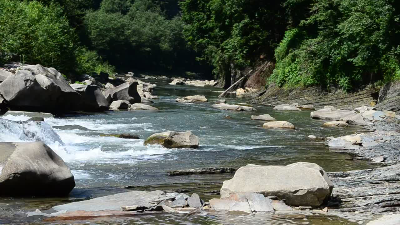 Free Stock Video River Flowing Through A Forest Creek Live Wallpaper