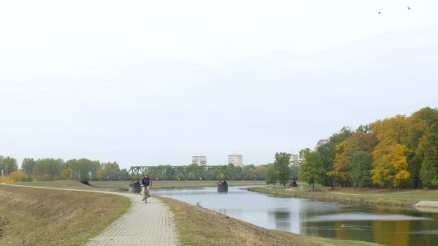 Free Stock Video River In A Large Park With People And Trees Live Wallpaper