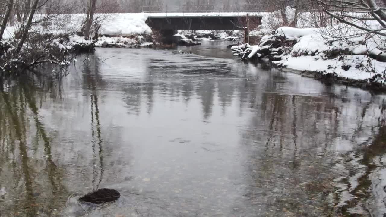Free Stock Video River In A Snowy Forest In Canada Live Wallpaper