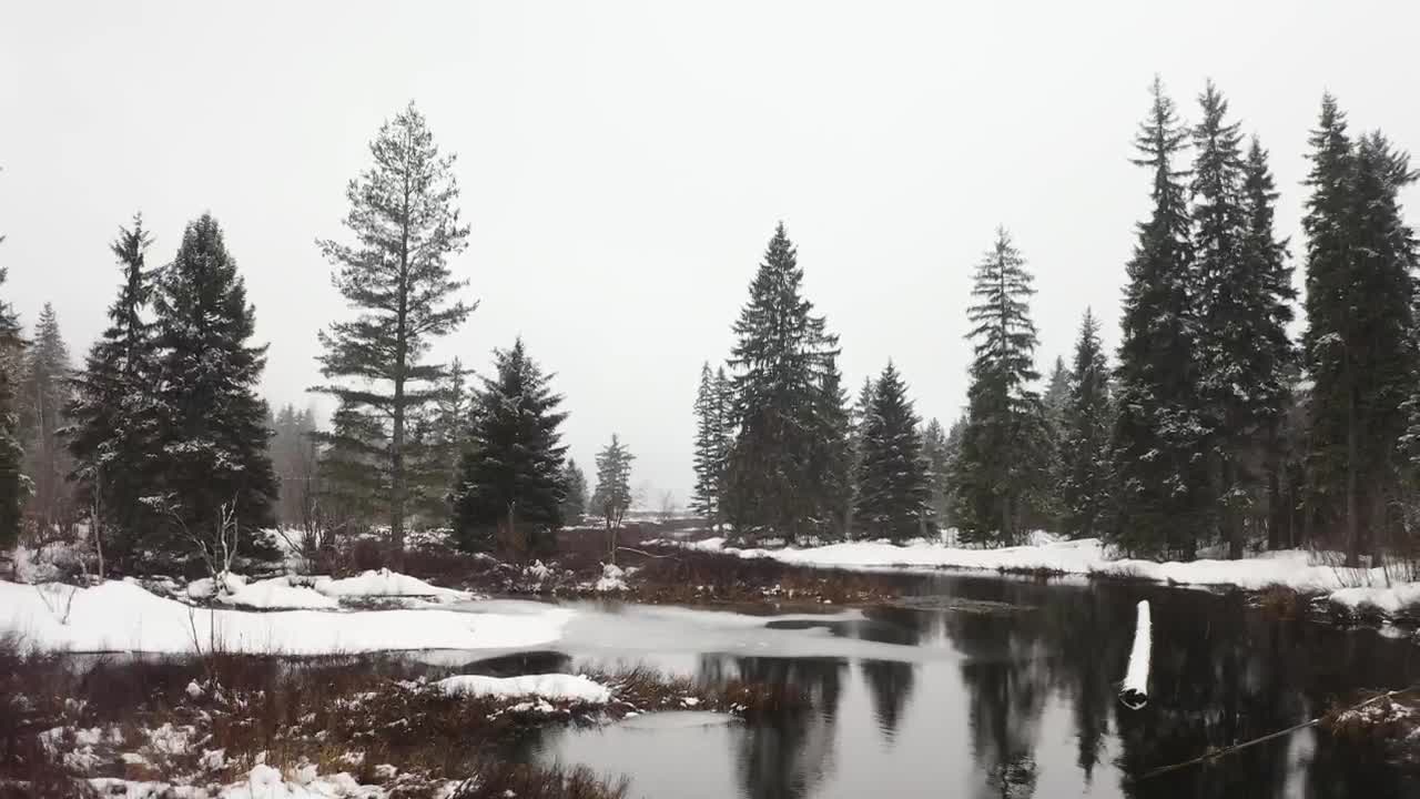 Free Stock Video River In A Snowy Forest Of Canada Live Wallpaper
