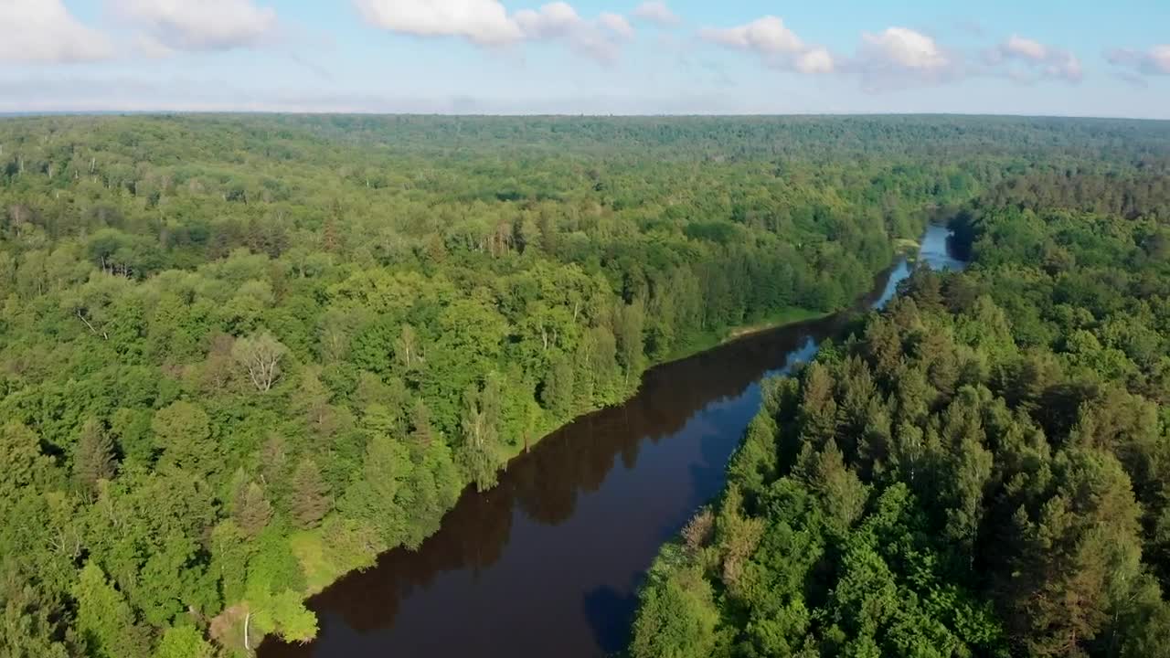 Free Stock Video River In The Middle Of The Forest Live Wallpaper