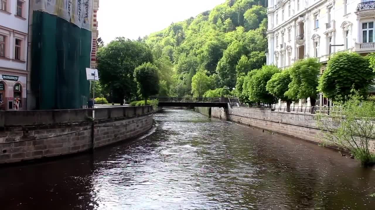 Free Stock Video River Of A City With Many Trees And Buildings Live Wallpaper