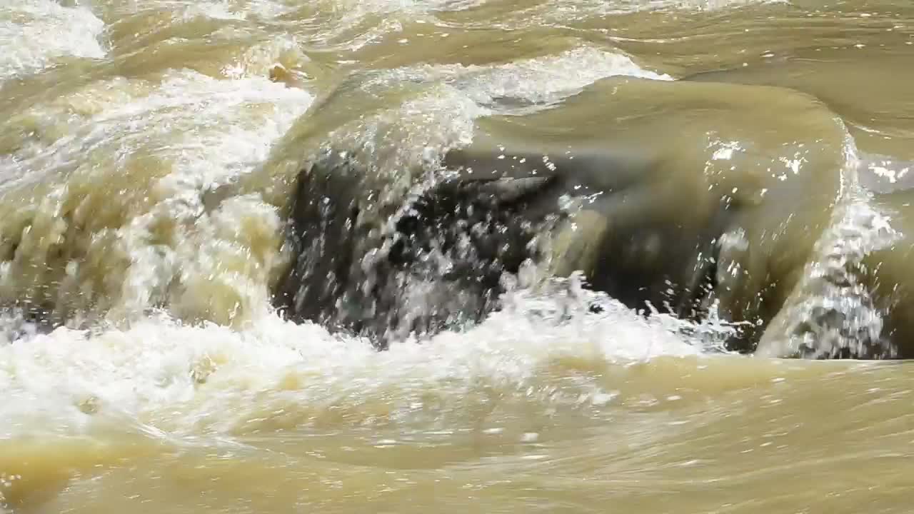 Free Stock Video River Water Filled With Mud Live Wallpaper