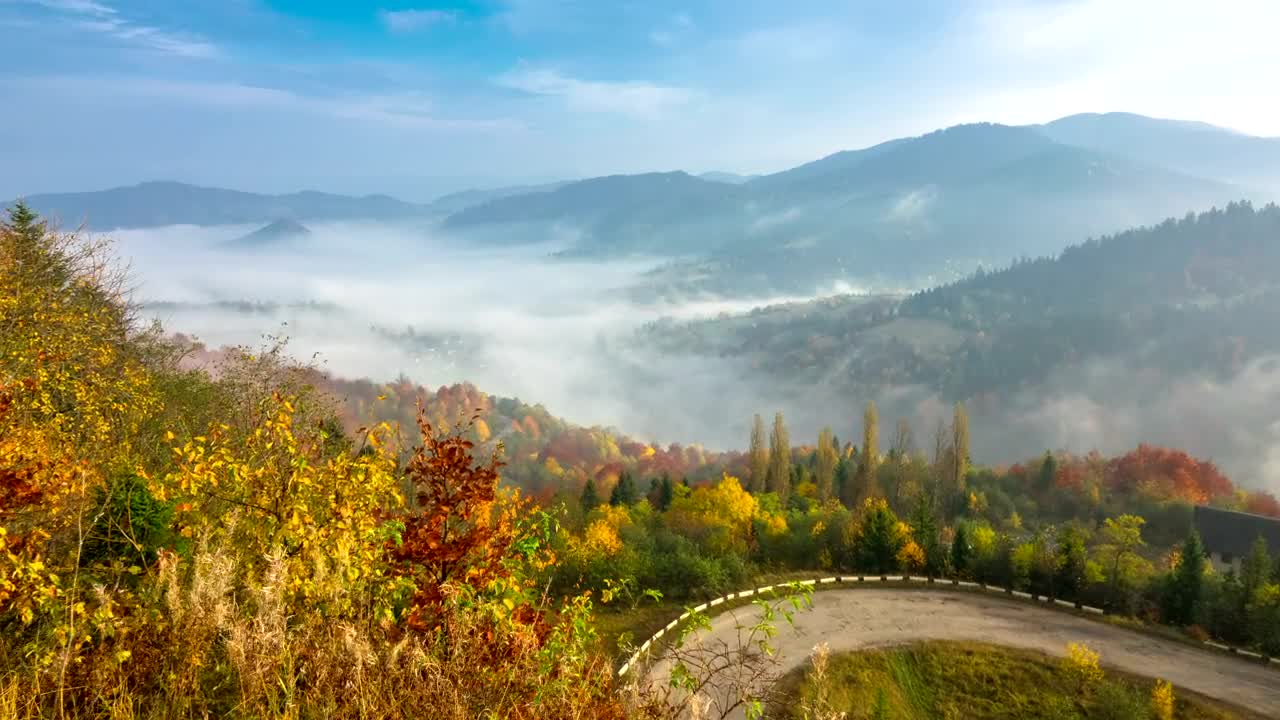Free Stock Video Road Curve On An Autumn Forest Live Wallpaper
