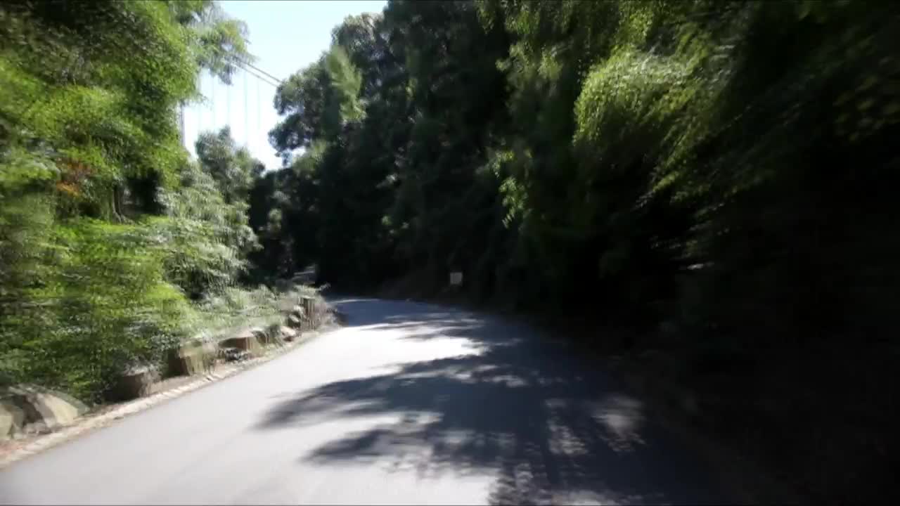 Free Stock Video Road Cutting Through A Forest Live Wallpaper