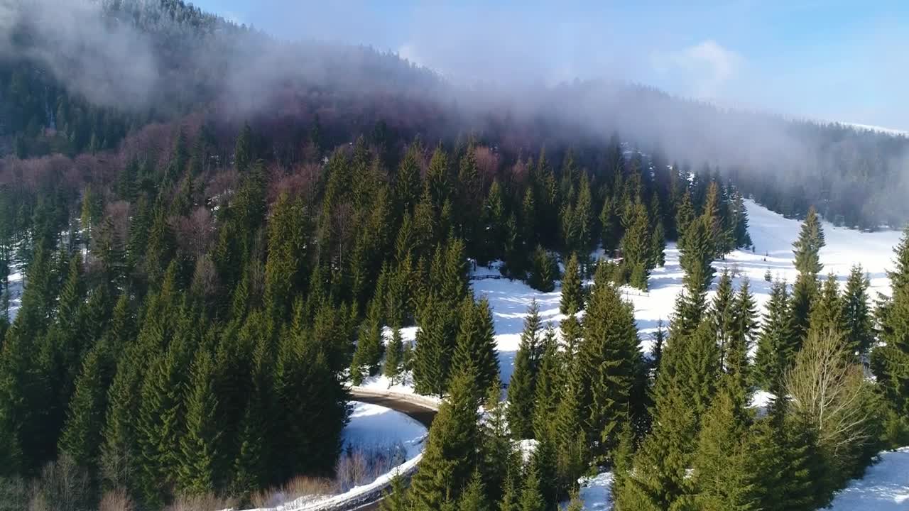 Free Stock Video Road Going Through A Snowy Forest At A Sunny Day Live Wallpaper