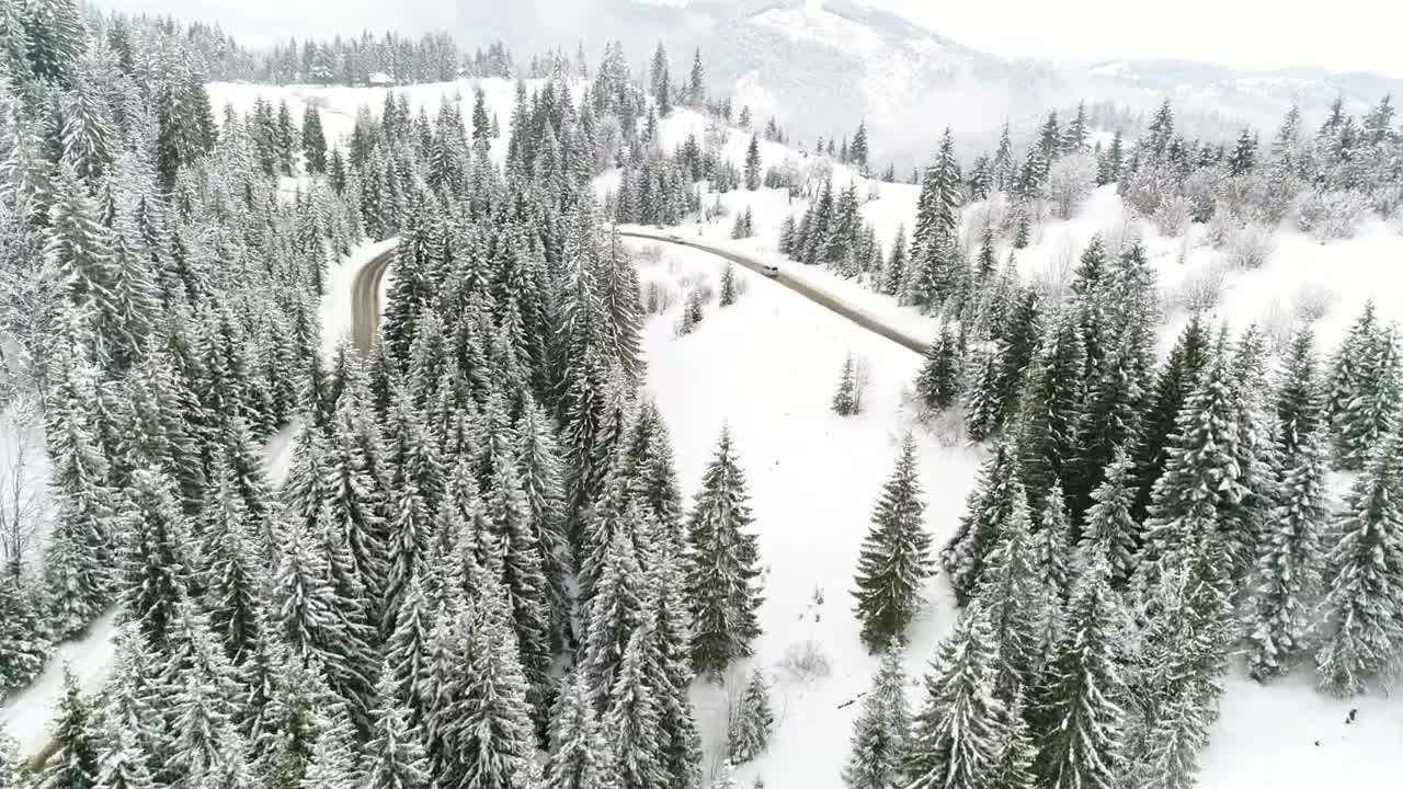Free Stock Video Road In A Snowy Forest With Pine Trees Live Wallpaper