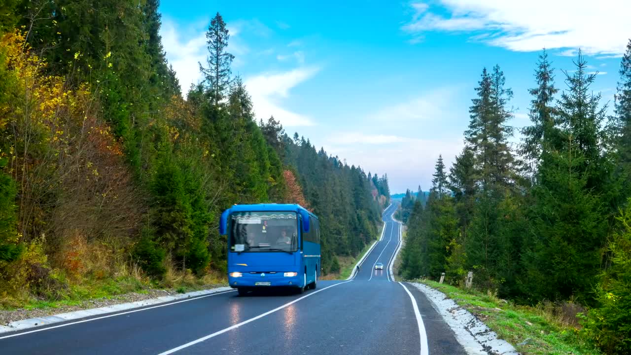 Free Stock Video Road In The Middle Of The Forest Live Wallpaper