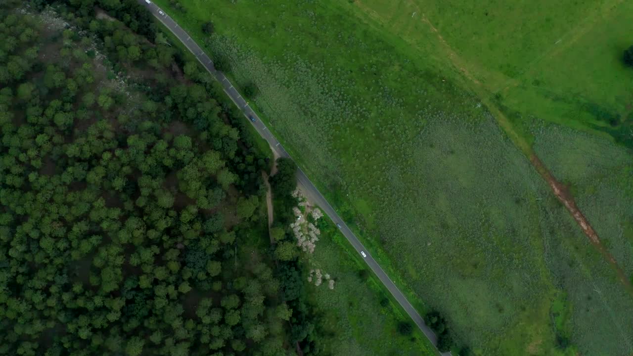 Free Stock Video Road Next To A Forest From The Heights Live Wallpaper