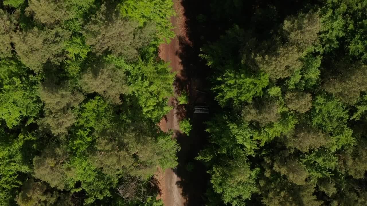 Free Stock Video Road Through A Pine Forest Seen From Above Live Wallpaper