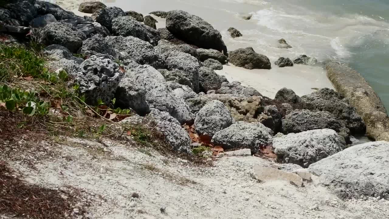 Free Stock Video Rocky Beach With Waves Reaching The Shore Live Wallpaper
