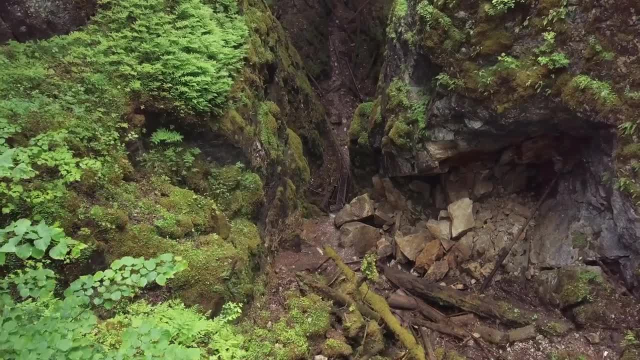 Free Stock Video Rocky Cliffs In The Middle Of A Forest Live Wallpaper