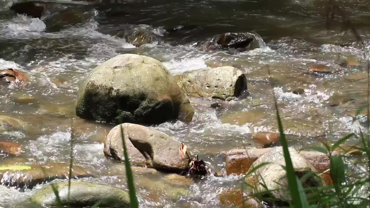 Free Stock Video Rocky Stream In The Hills Live Wallpaper