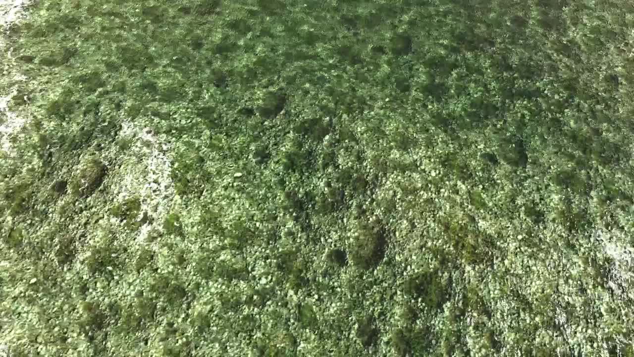 Free Stock Video Rocky Surface Under Crystal Clear Water Live Wallpaper
