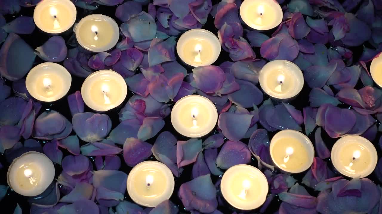 Free Stock Video Romance Details Candles Floating Among Roses Live Wallpaper