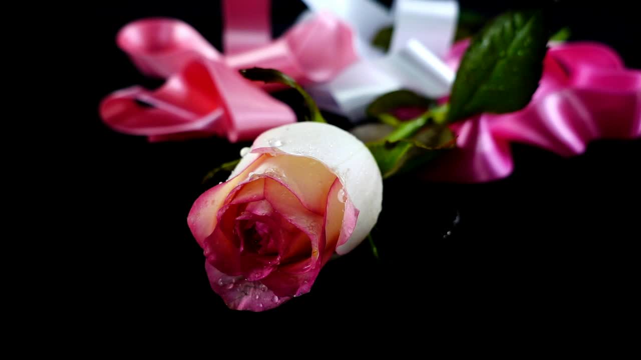 Free Stock Video Romantic Composition Of A Flower And Ribbons Live Wallpaper