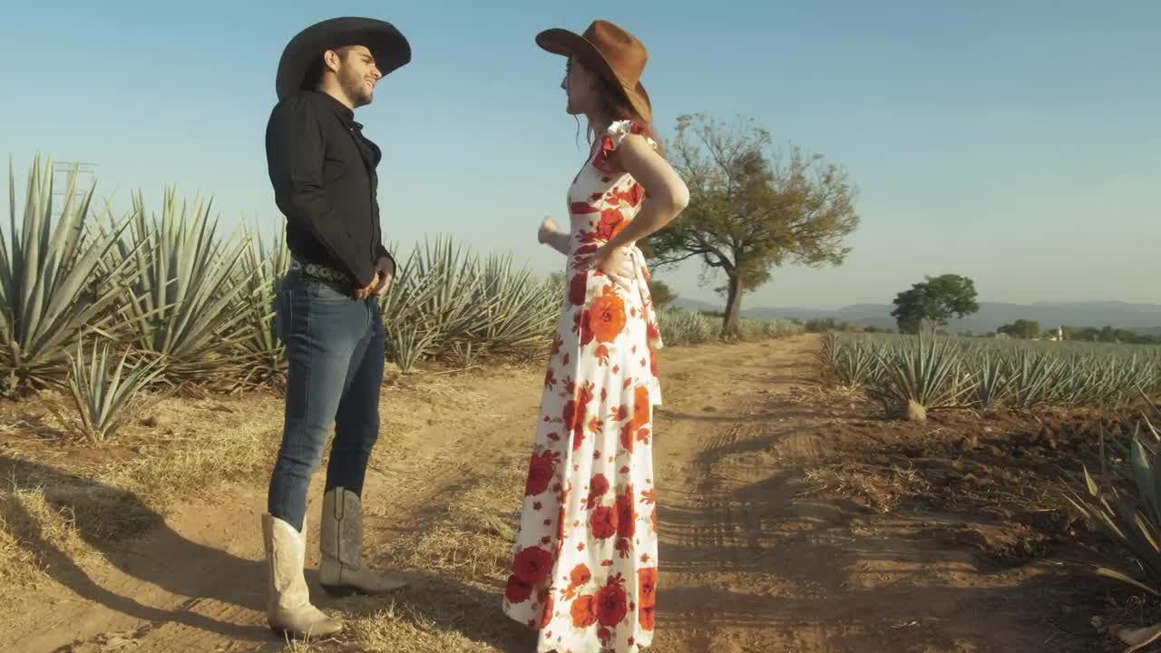 Free Stock Video Romantic Couple Of Ranchers In A Maguey Field Live Wallpaper