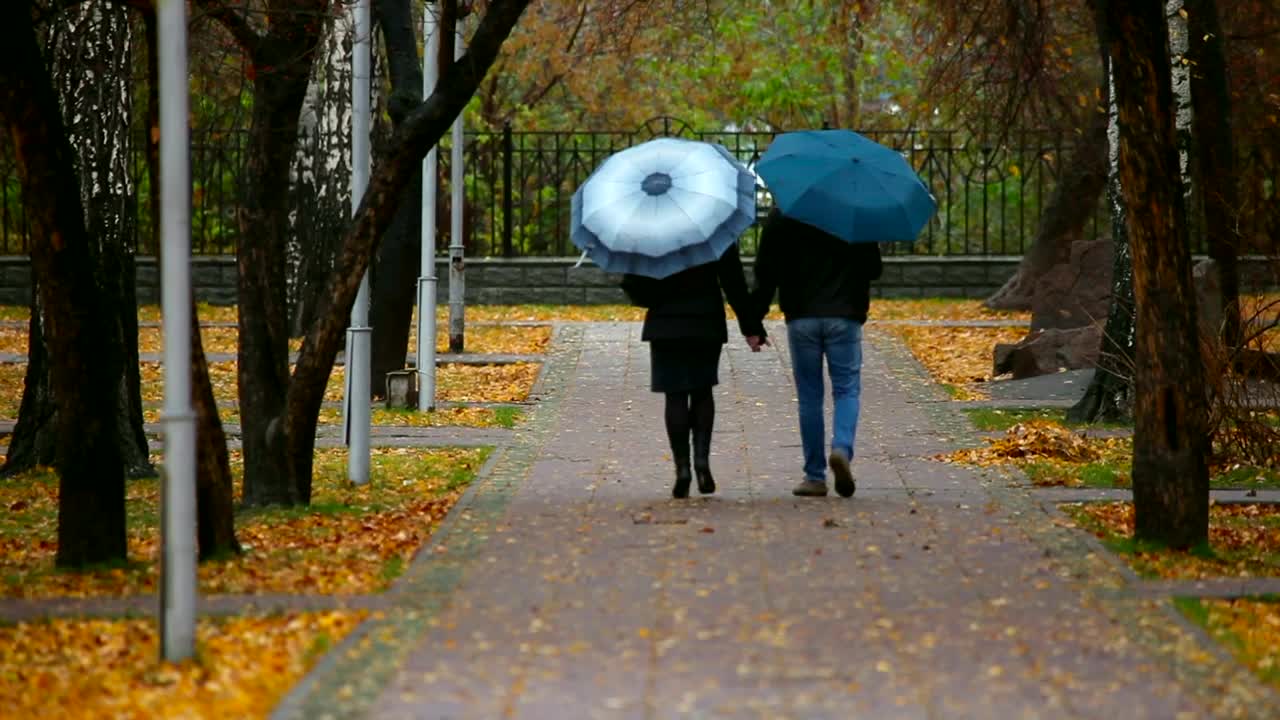 Free Stock Video Romantic Couple Walking In The Park During The Fall Live Wallpaper