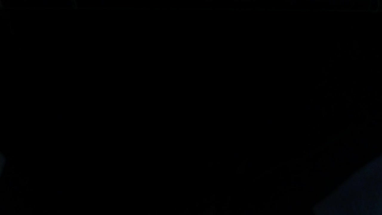 Free Stock Video Romantic Details Pink Rose Revealed Live Wallpaper