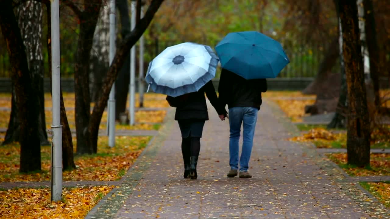 Free Stock Video Romantic Walk In The Park Live Wallpaper