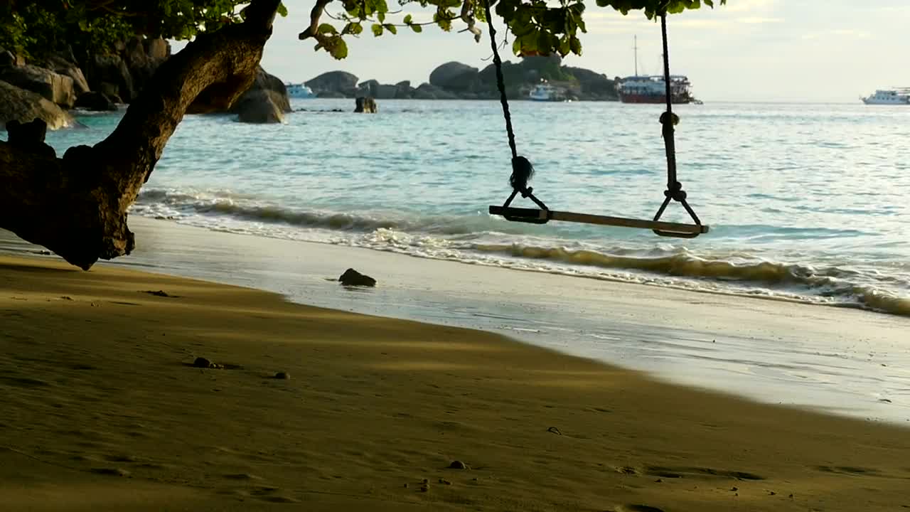 Free Stock Video Rope Swing On The Beach At Sunset Live Wallpaper