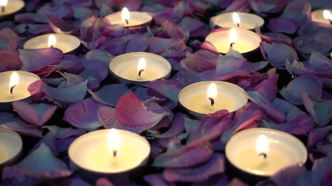 Free Stock Video Roses And Candles Floating In A Wedding Decoration Live Wallpaper