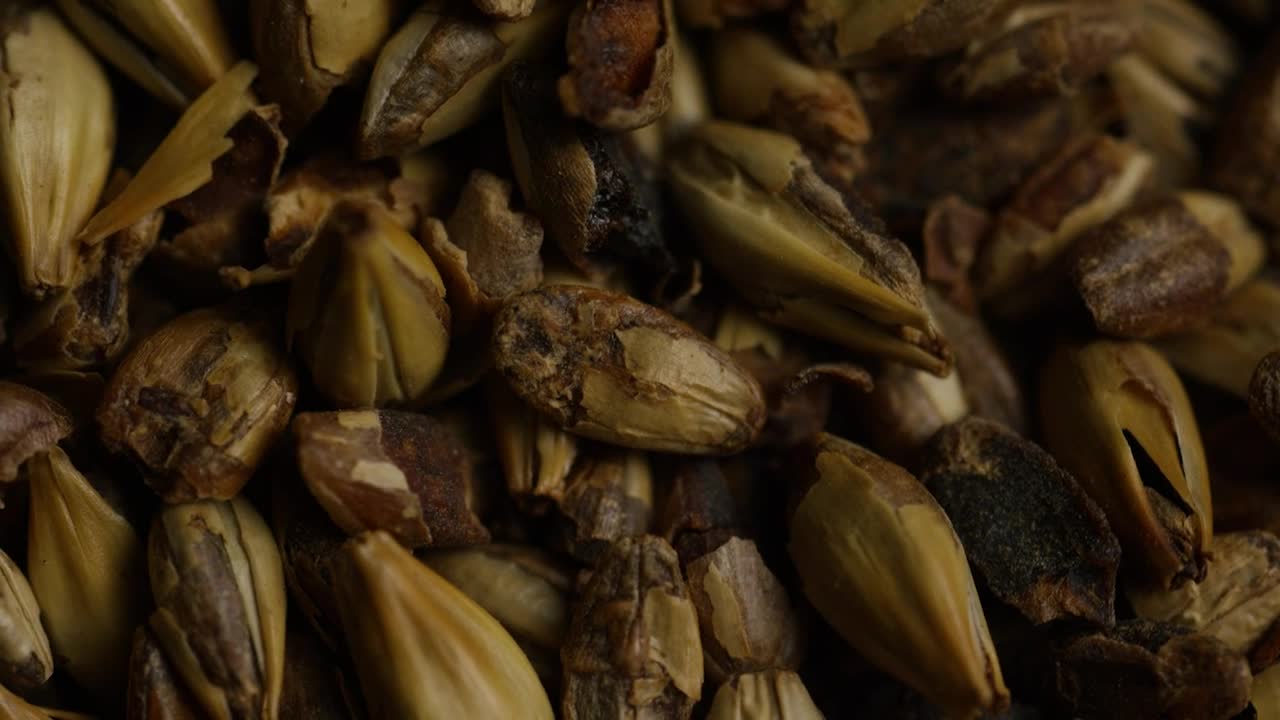 Free Stock Video Rotating Barley Grains Live Wallpaper