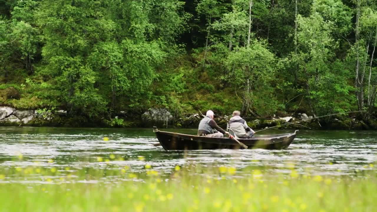 Free Stock Video Rowing A Boat Up Stream Live Wallpaper