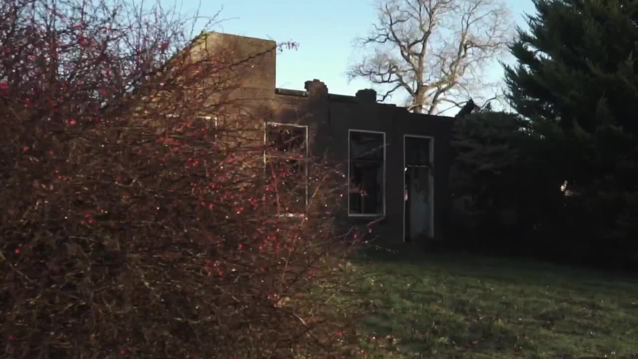 Free Stock Video Ruined House In The Woods Live Wallpaper