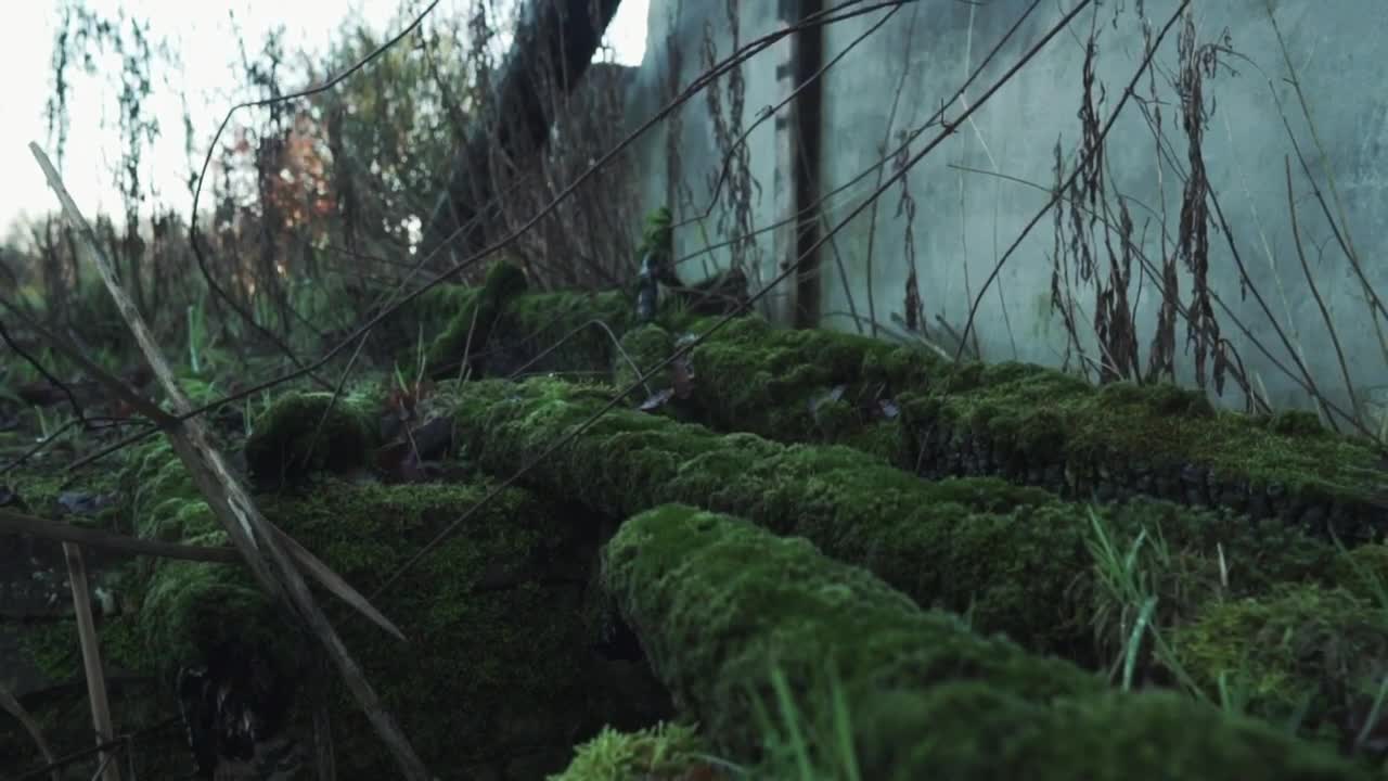 Free Stock Video Ruined House With Destroyed Walls Live Wallpaper