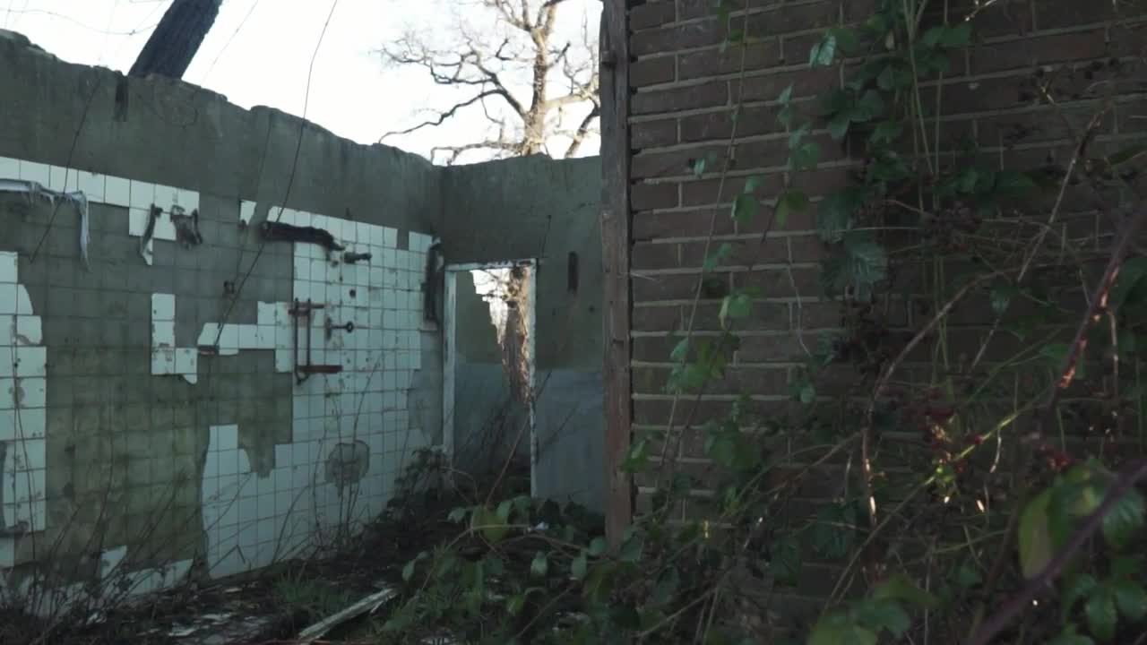 Free Stock Video Ruined Roofless House Live Wallpaper