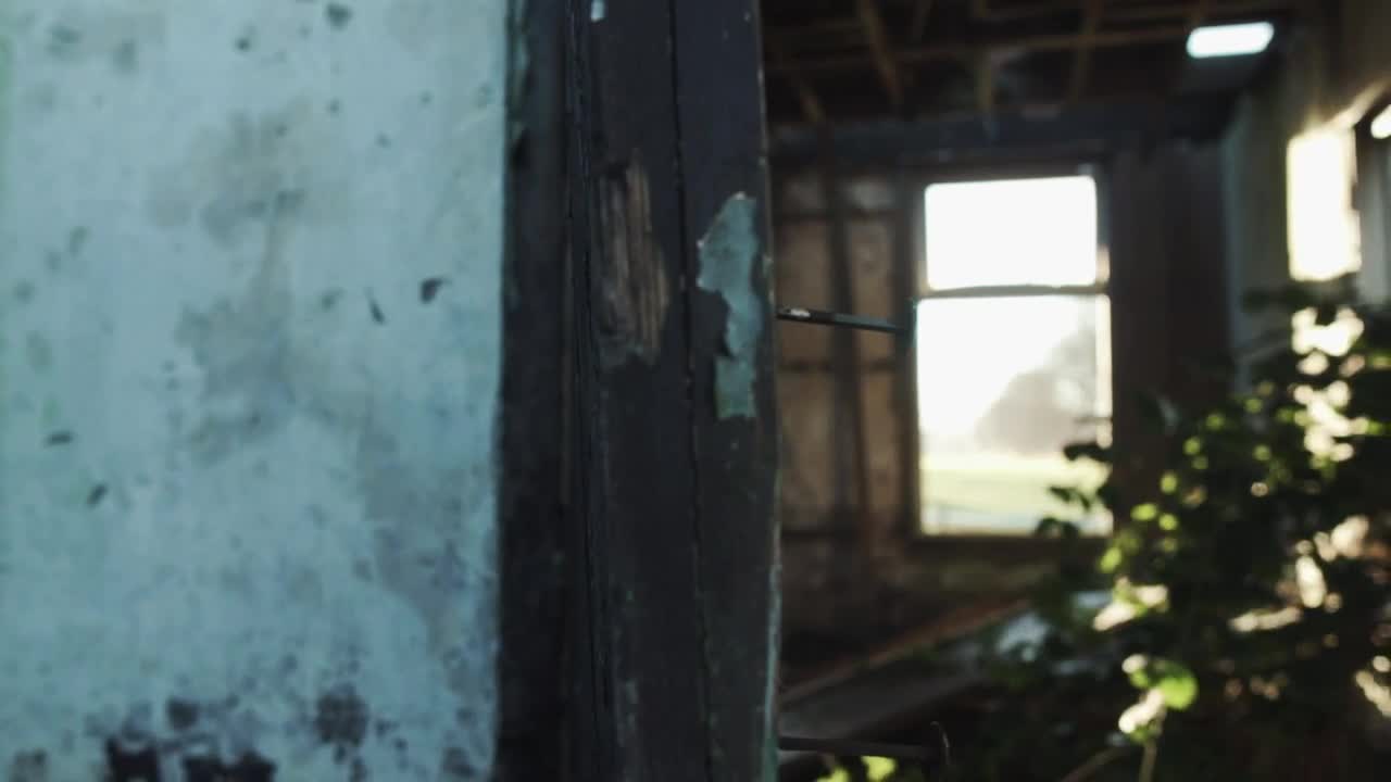 Free Stock Video Ruined Site Near A Path In A Forest Live Wallpaper