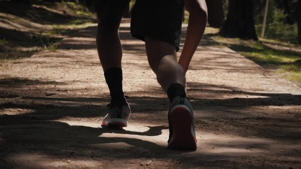 Free Stock Video Runner Training In A Park Live Wallpaper