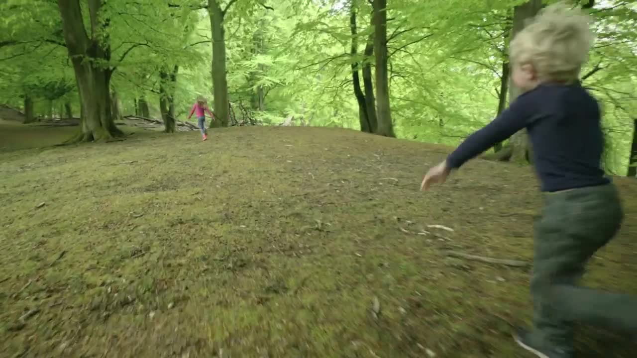 Free Stock Video Running Through Woodland Live Wallpaper