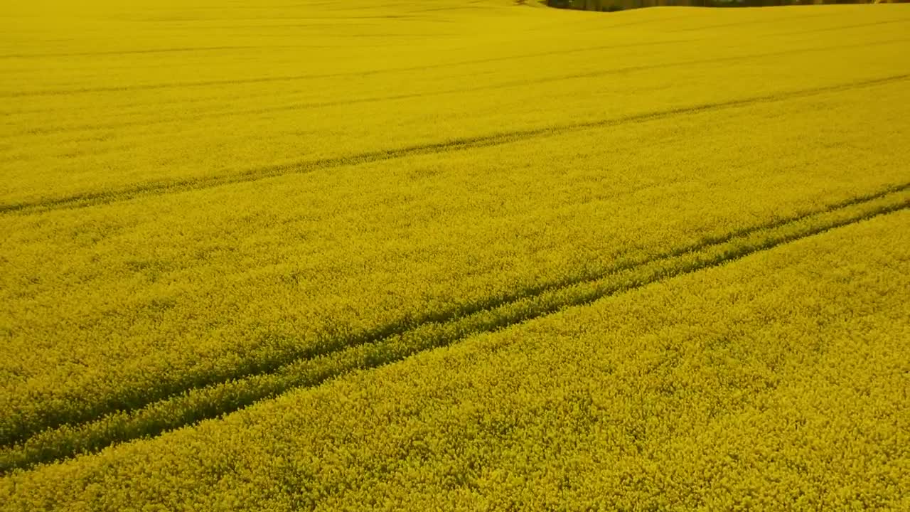 Free Stock Video Rural Fields In The Countryside Live Wallpaper