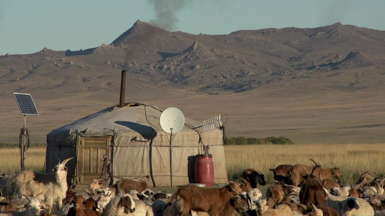 Free Stock Video Rural Home With Goat Cattle In The Mountains Live Wallpaper