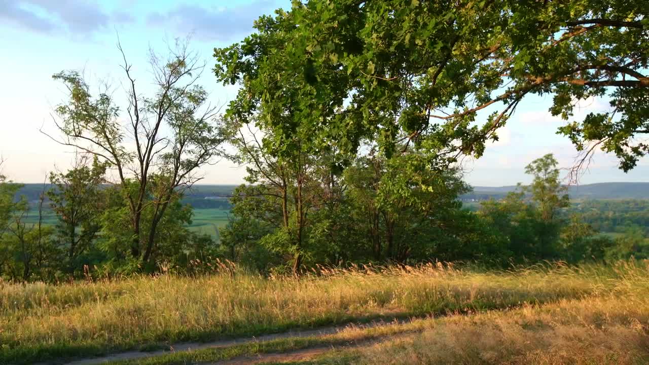 Free Stock Video Rural Road In The Grass Live Wallpaper