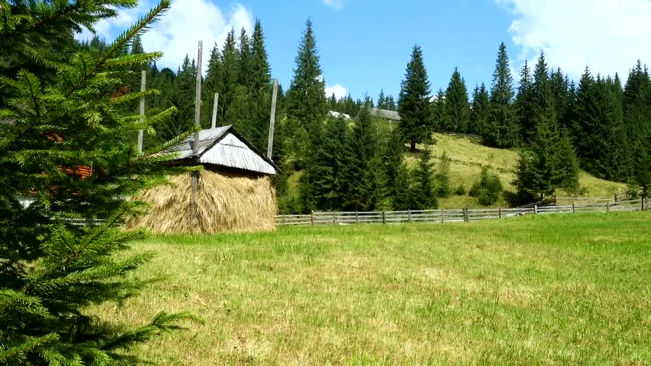 Free Stock Video Rustic Houses In A Mountain Surrounded By Forest Live Wallpaper