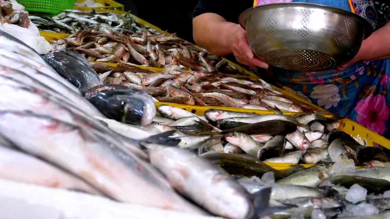 Free Stock Video Saleswoman Offering Fresh Fish Live Wallpaper