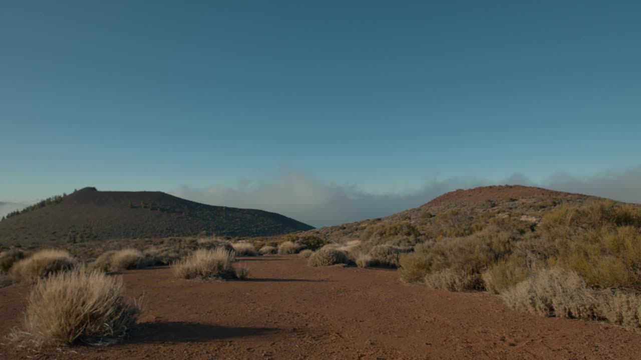 Free Stock Video Sand And Dry Grass In Tenerife Live Wallpaper