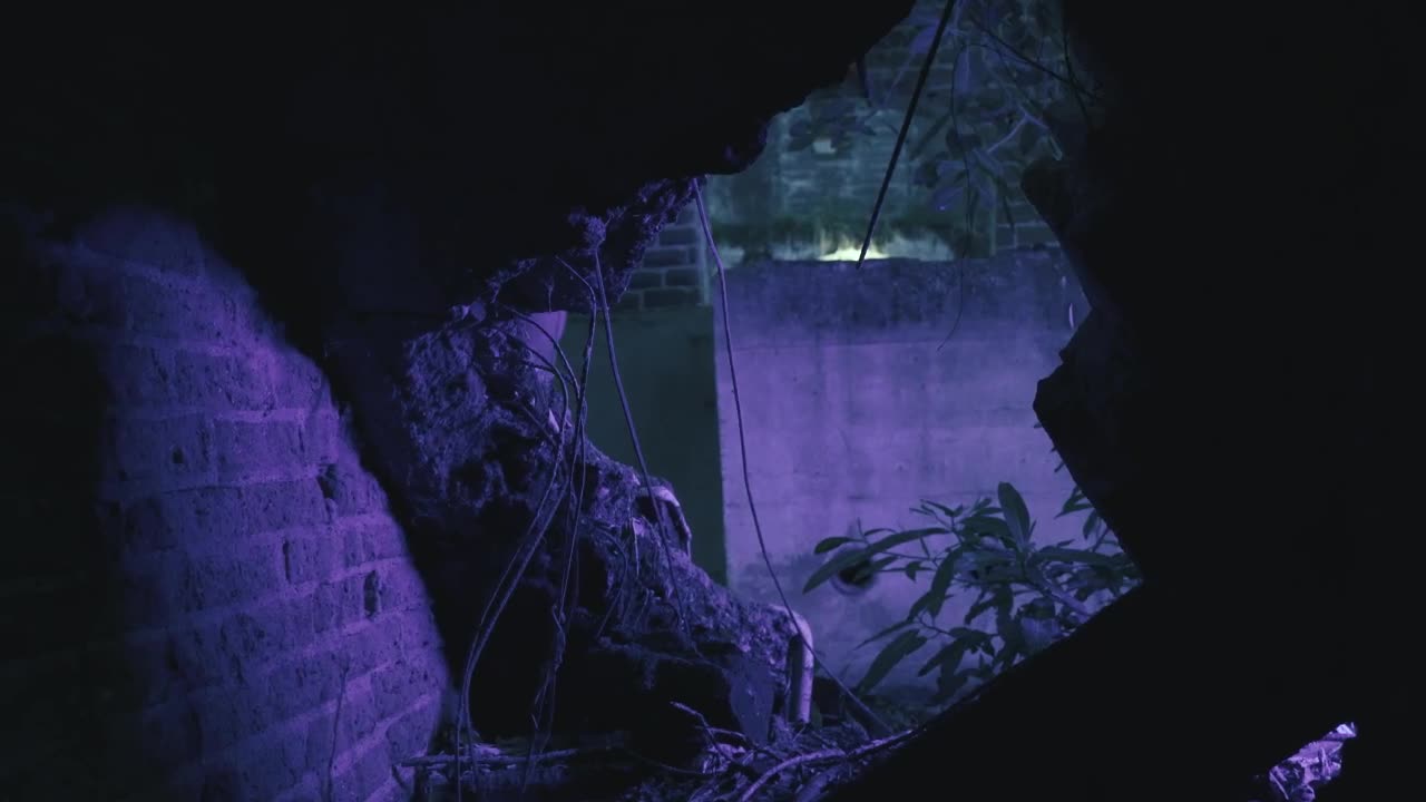 Free Stock Video Scary Clown Peeking Through Hole In Wall Live Wallpaper