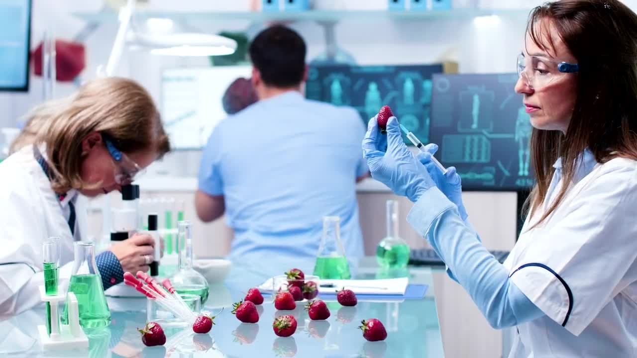 Free Stock Video Scientist Injects Strawberry In Research Lab Live Wallpaper