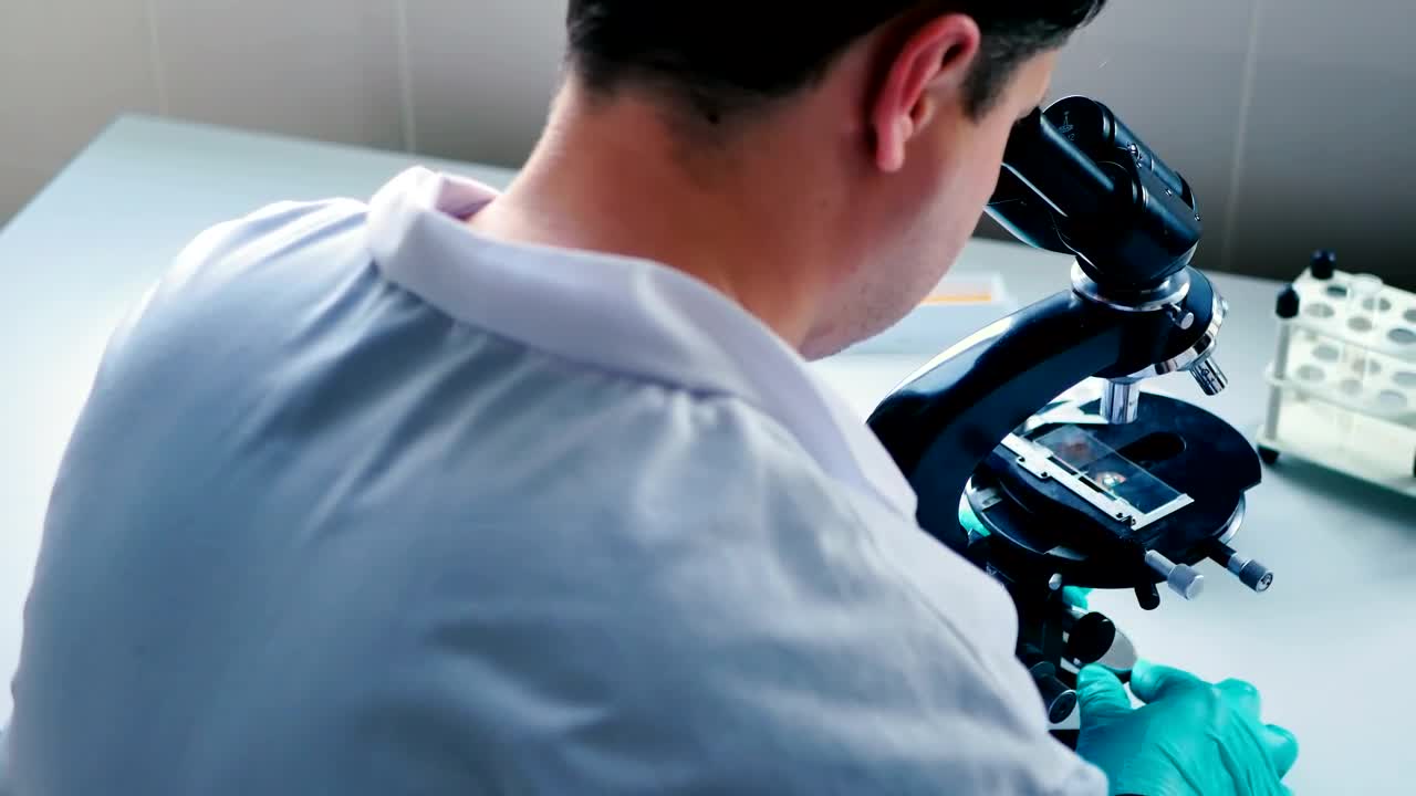 Free Stock Video Scientist Observing Through A Microscope Live Wallpaper