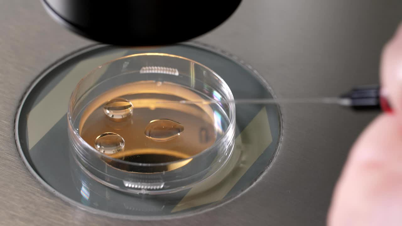 Free Stock Video Scientist Working With A Pipette Live Wallpaper